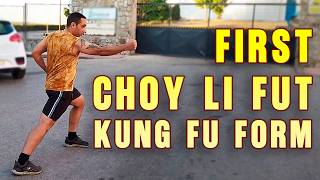 First Choy Li Fut kung Fu Form/Scheme - Chap form