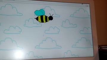 The useless web video