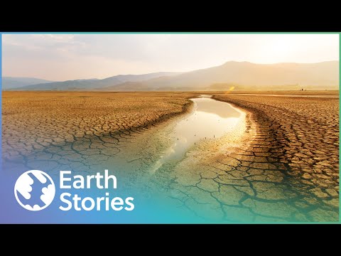 EARTH'S SURVIVAL