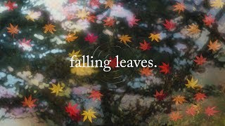 falling leaves. | Lofi Hip Hop