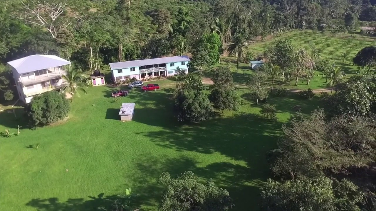 Beautiful Jungle Resort on the Hummingbird Highway for Sale Real