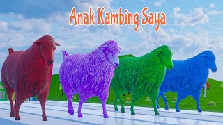 Lagu Anak Kambing Saya  | Lagu Anak Populer  | Domba Warna Warni | Paint Animal Sheep