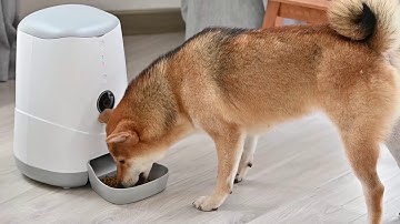 Zemismart Smart Pet Feeder Machine Work with Google home Alexa