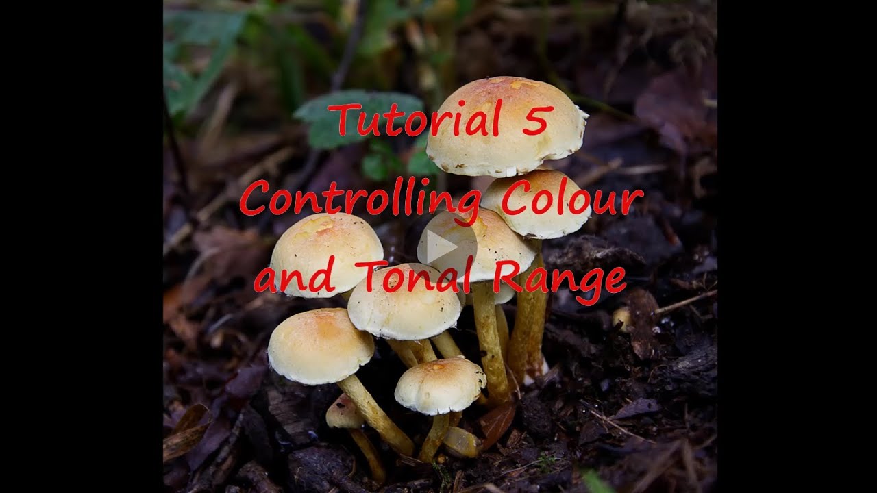 Controlling Colour and Tonal Range in Your Photos. Getting Started With Affinity Photo 2, Tutorial 5