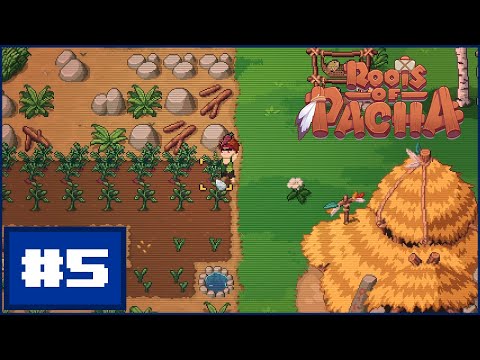 A primeira colheita| Roots of Pacha #5