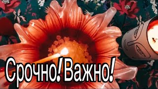 ❤️ МИРОЗДАНИЕ покажет нам ТО, что вам поможет сделать Правильный Выбор!❤️