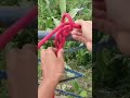 Creative Rope Art Ideas You Can Try at Home #craftsmanship #sailingknots