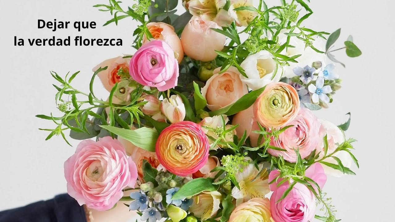 fidel en caricaturas y algo mas. Dejar que la verdad florezca