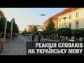 Українська мова в Словаччині. Перехожі спантеличені!