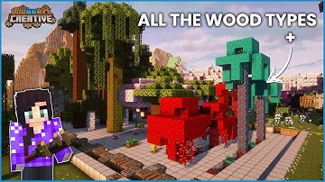 TREE FARM with Mangrove and Nether Trees!  Minecraft Create Mod
