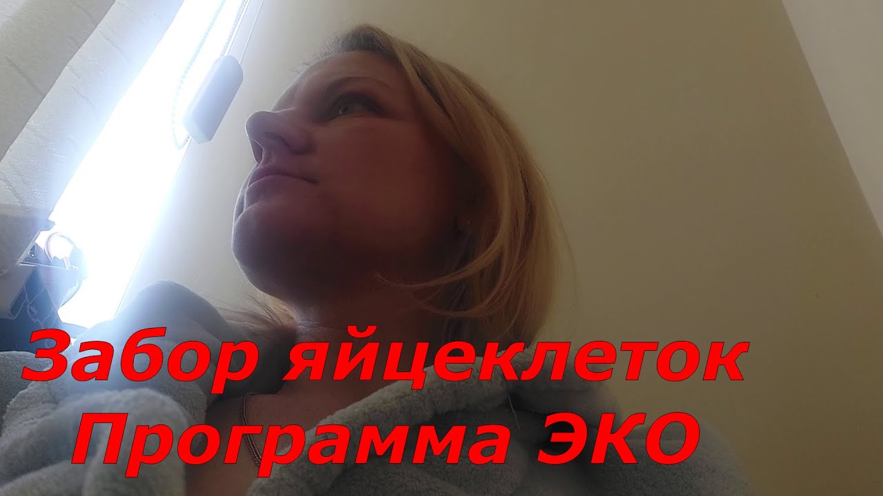 Забор яйцеклеток ЭКО// Пунция яичников// Протокол ЭКО - YouTube