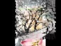 عـــبــادي الــــعـــمــاري الـــفــصــلــيــة عـــبــادي الــــعـــمــاري الـــفــصــلــيــة