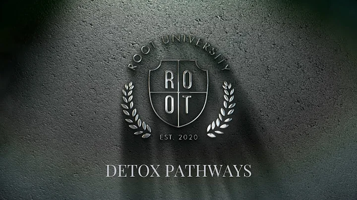 Detoxification Pathways | ROOT University | December 9, 2025 | English