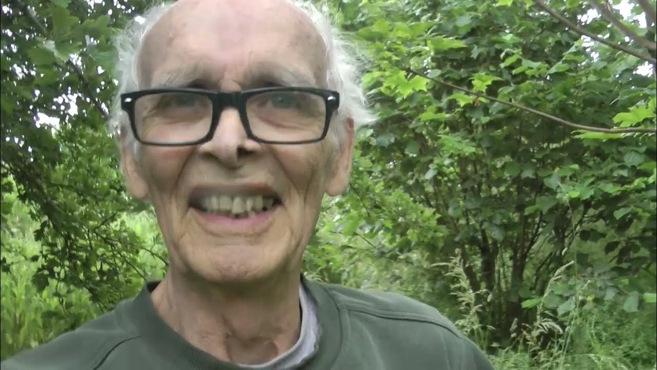 The garden in early summer 2023 YouTube