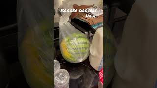 Kroger Grocery Haul for One