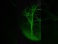 Momento destacado de transmisión en vivo #paranormal #fantasmas #aterrador #leyendas #monje #ghost