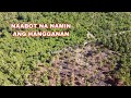 UPDATE SA NIYOGAN+ AERIAL VIEW