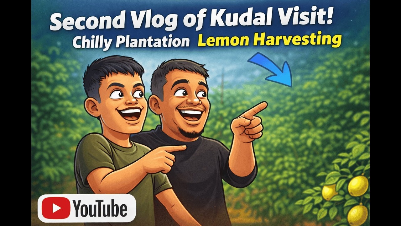 कोकण कुडाळ Day 2 🌶️🍋 लिंबू तोडणी मस्ती | मिरची प्लांटेशन Pending Work | रामेश्वर दर्शन