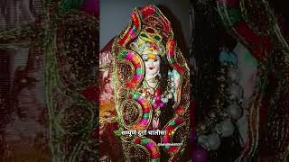संपूर्ण दुर्गा चालीसा. 🌿🌺🙏🏻 #love #balajikikatha #lovemusic #balajibhakti5311 #song #durga