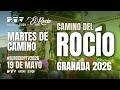 🔴 EN DIRECTO | Martes de Camino del Rocío 2026 con GRANADA | 19 mayo 2026