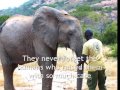 Elephant Orphans of Kenya ~ Ithumba