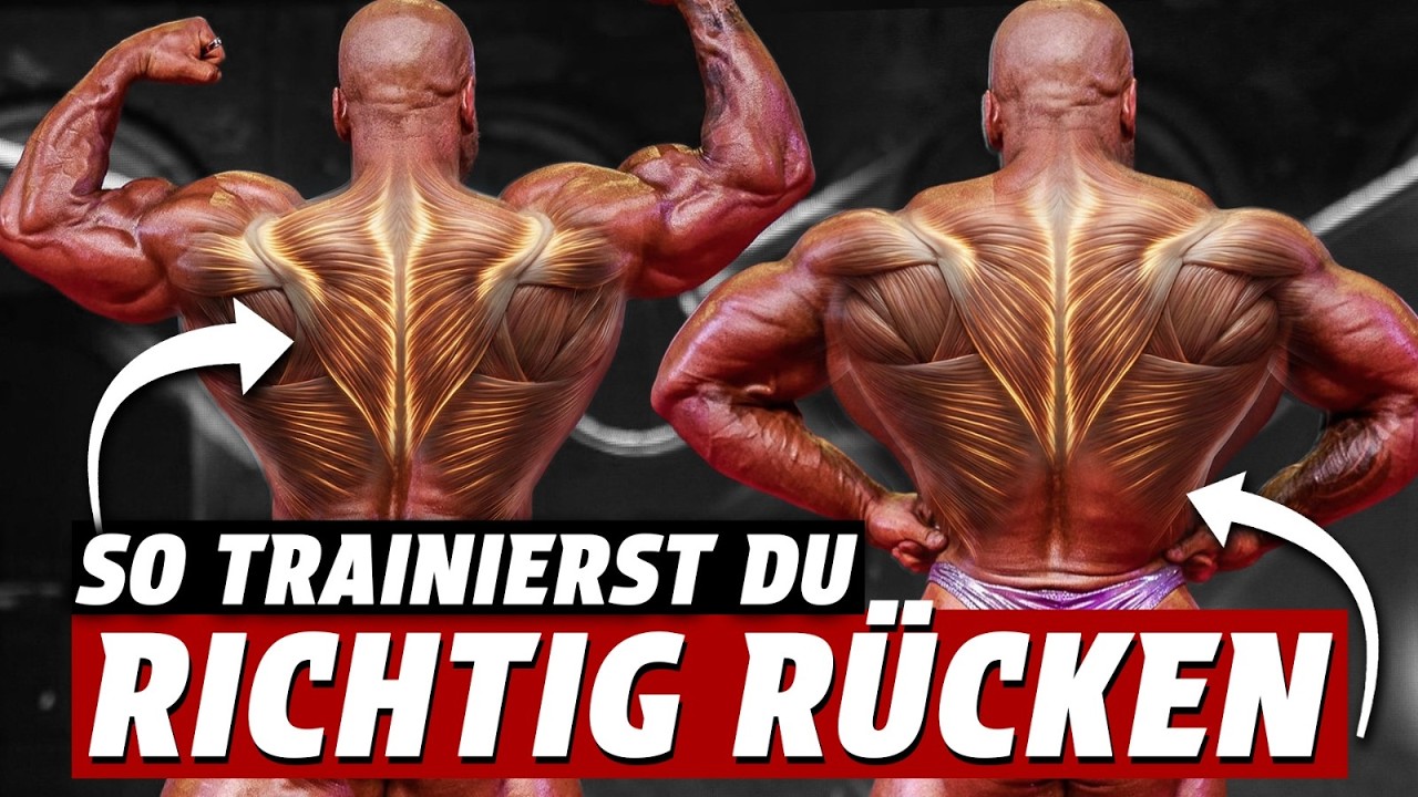 So trainierst du RÜCKEN richtig (Die komplette Anleitung)