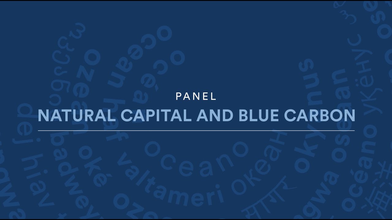 Natural Capital and Blue Carbon | Blue Economy Summit 2023