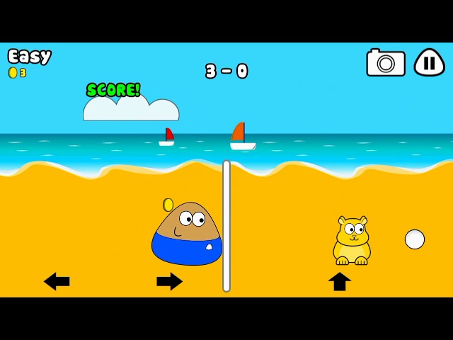 Beach Volley, Pou Wiki