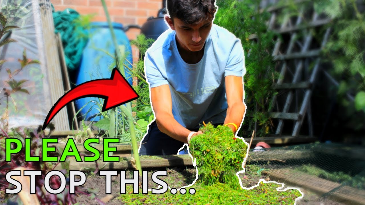5 FREE ways to improve your soil - YouTube
