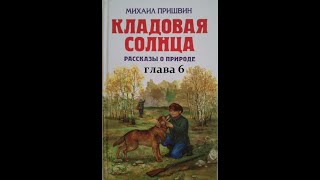 Михаил Пришвин КЛАДОВАЯ СОЛНЦА глава 6