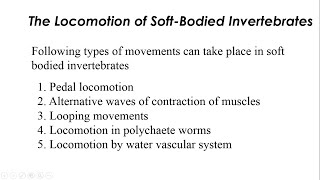 Locomotion of soft bodied invertebrates (Part 01) screenshot 4