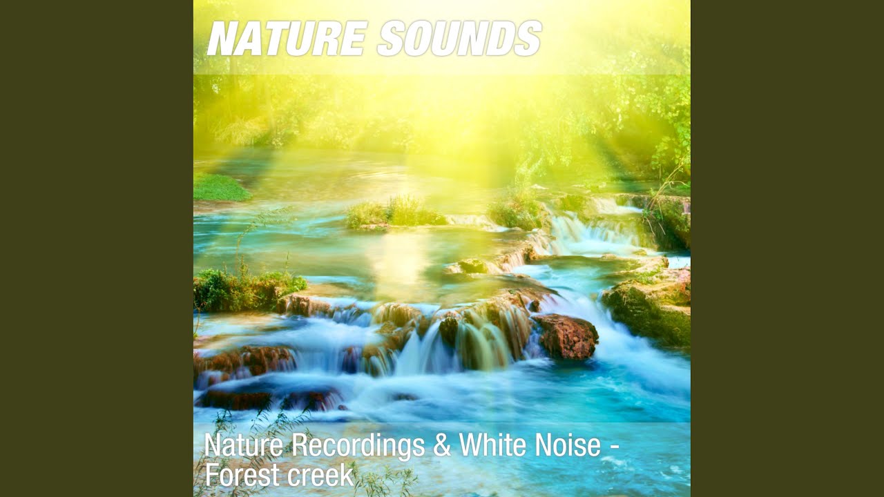 Nature Sounds For Motivation Confidence Happiness Peaceful Forest Stream 11 Youtube