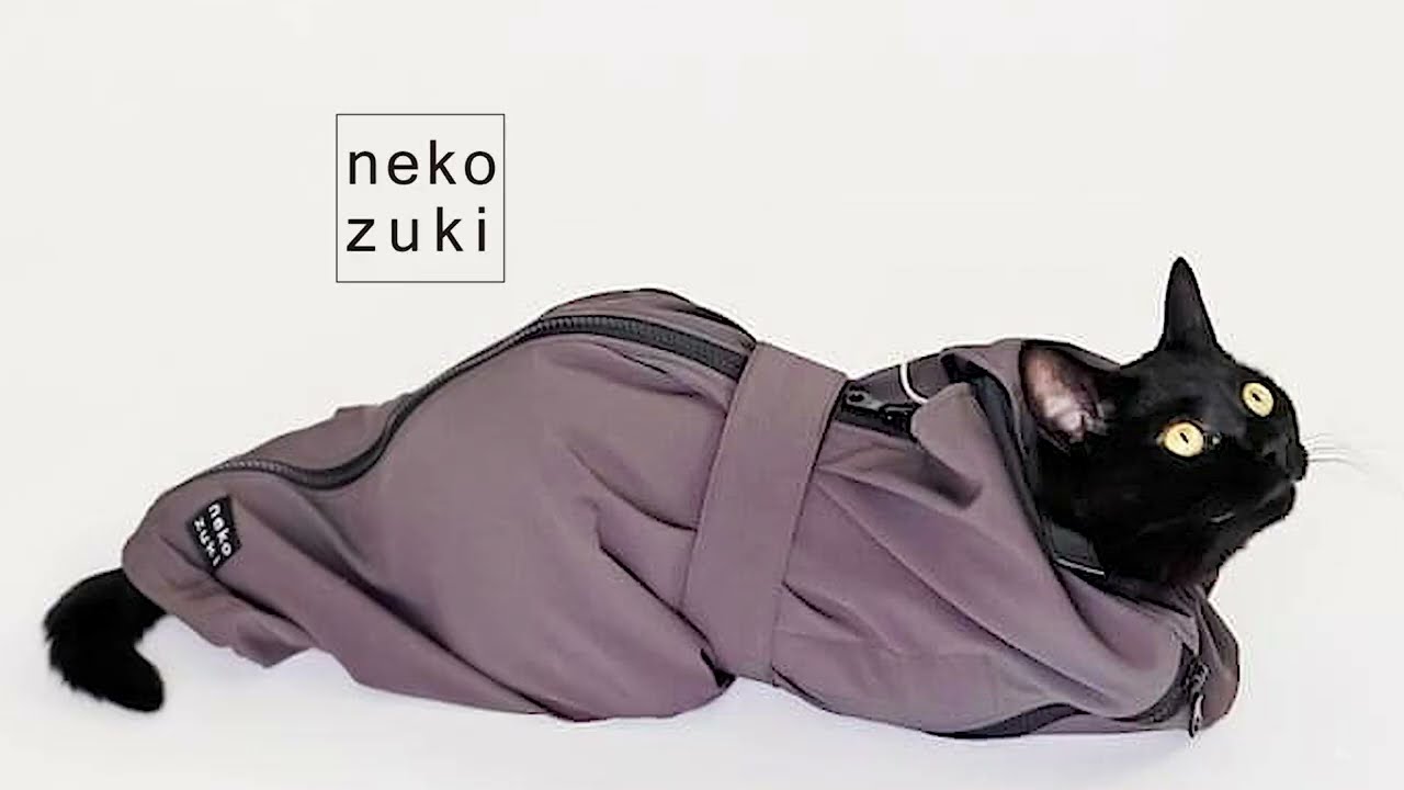 1人でも保定できる、猫の皮下点滴補助具「ねこずきのおくるみ」 - YouTube