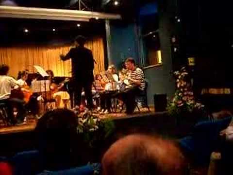 Saggio 2008 Giovane Orchestra Nova Harmonia Ariano...