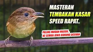 Download lagu MASTERAN FULL NEMBAK KASAR PANJANG! FLAMBOYAN GACOR NYERECET NGEROL NGEBREN NGEKEK NON NYIUL NYULING
