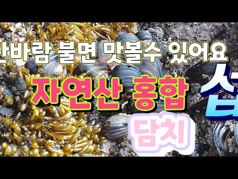 자연산 홍합(섭,담치)채취 - YouTube