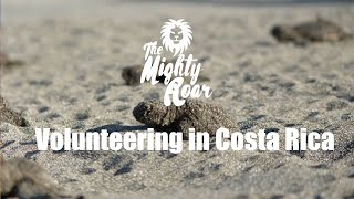 Volunteering in Costa Rica