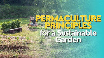 Permaculture Principles for a Sustainable Garden