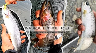 Searching for Brook trout | Lower mainland BC | Ultralight trout fishing using twitching Jigs