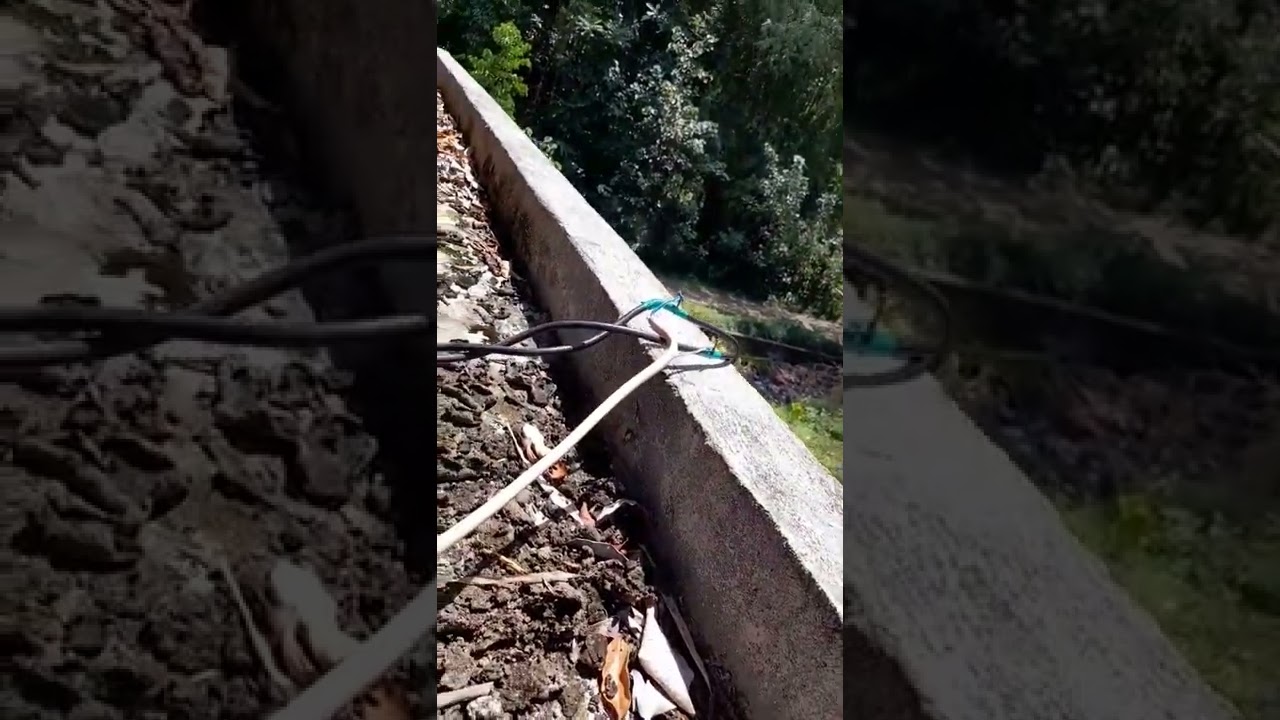 CANTOL DI KABEL SR PLN