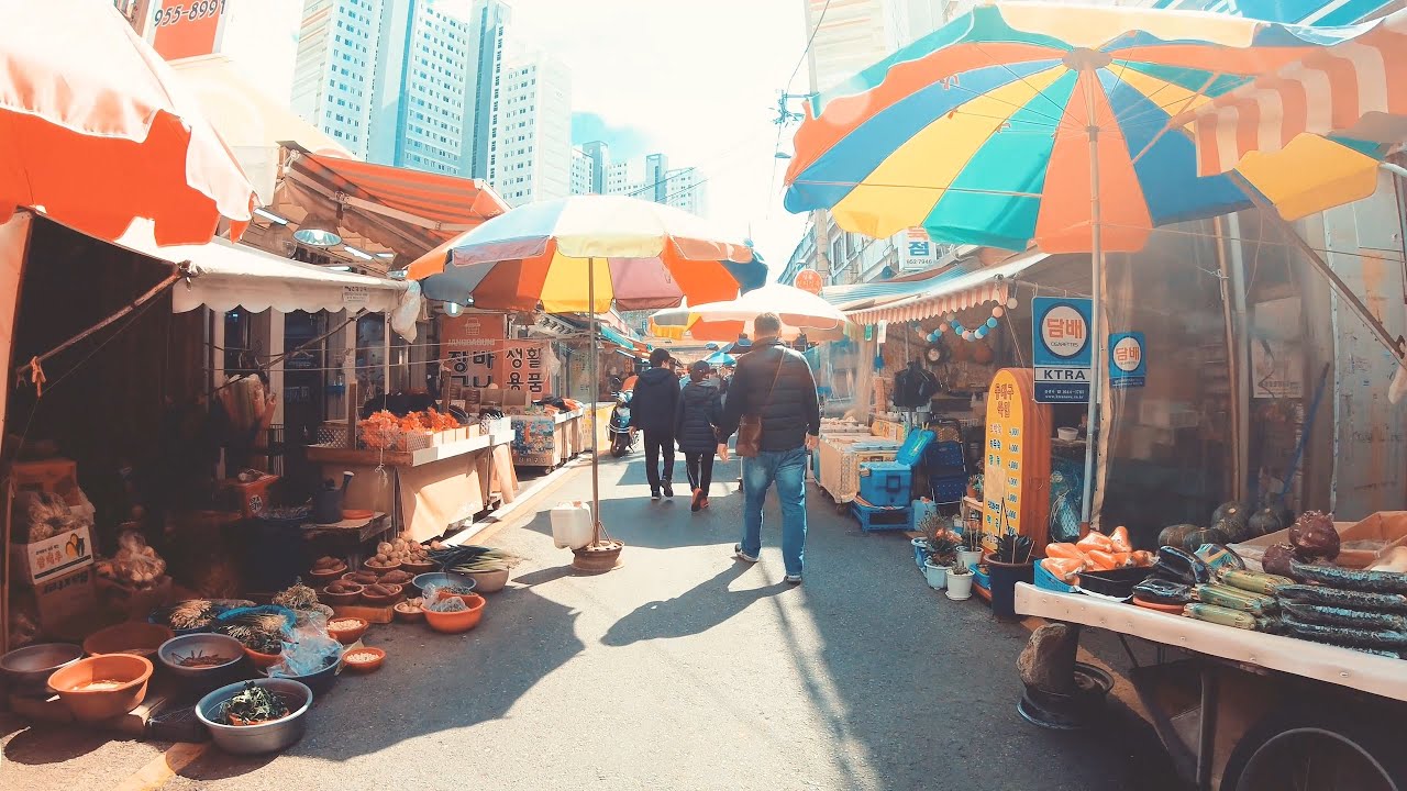 City riding, Daegu, Korea / 대구, 북구 대현동→동대구시장→대구신암초등학교→경북대학교 쪽문→신암뜨란채 아파트 까지 자전거 라이딩 영상(4k)