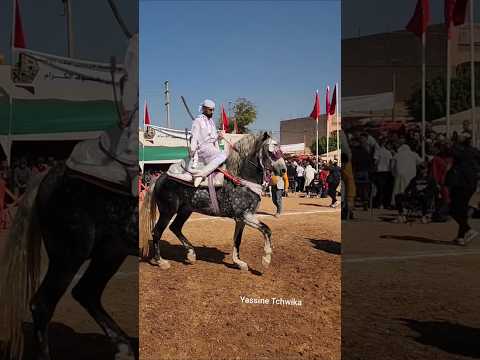 ماشاء الله على المقدم محمد سمراني من مهرجان ولاد يوسف بني ملال والفقيه بنصالح الله يبارك 