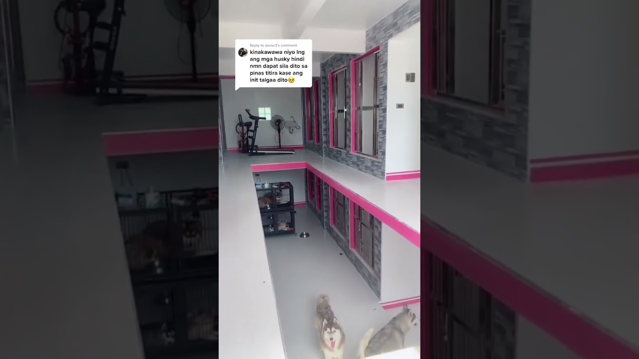 Layas sa Pilipinas! Layas!