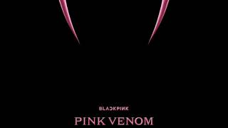 pink venom but the blackpink chant keeps repeating