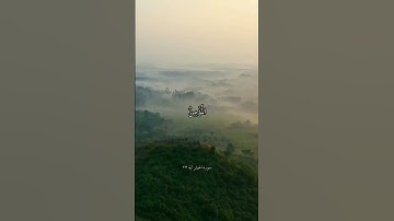 قرآن كريم | تلاوة خاشعة | سورة الحشر _آيات من القرآن #قرآن_كريم_في_دقيقة