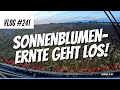 Vlog #241 Probleme mit dem Schneidwerkstransport. Sonnenblumenernte geht los.