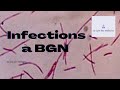 Infections  bgn