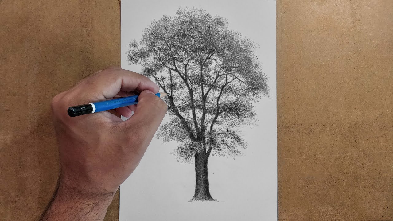 Joker Creative Color Pencil Drawing Ideas Freejokinemimg
