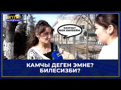 Video: Камчы деген эмне?