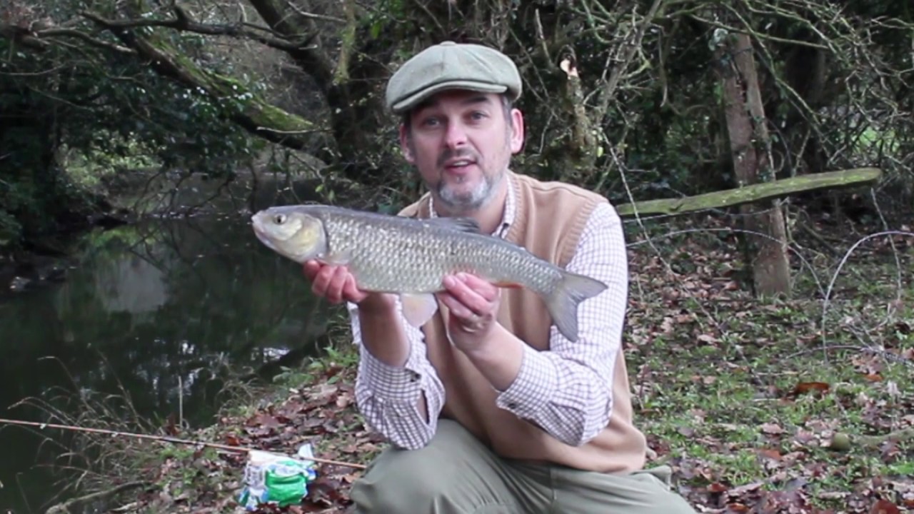 An Opportunist Hour - Chub & Dace Fishing